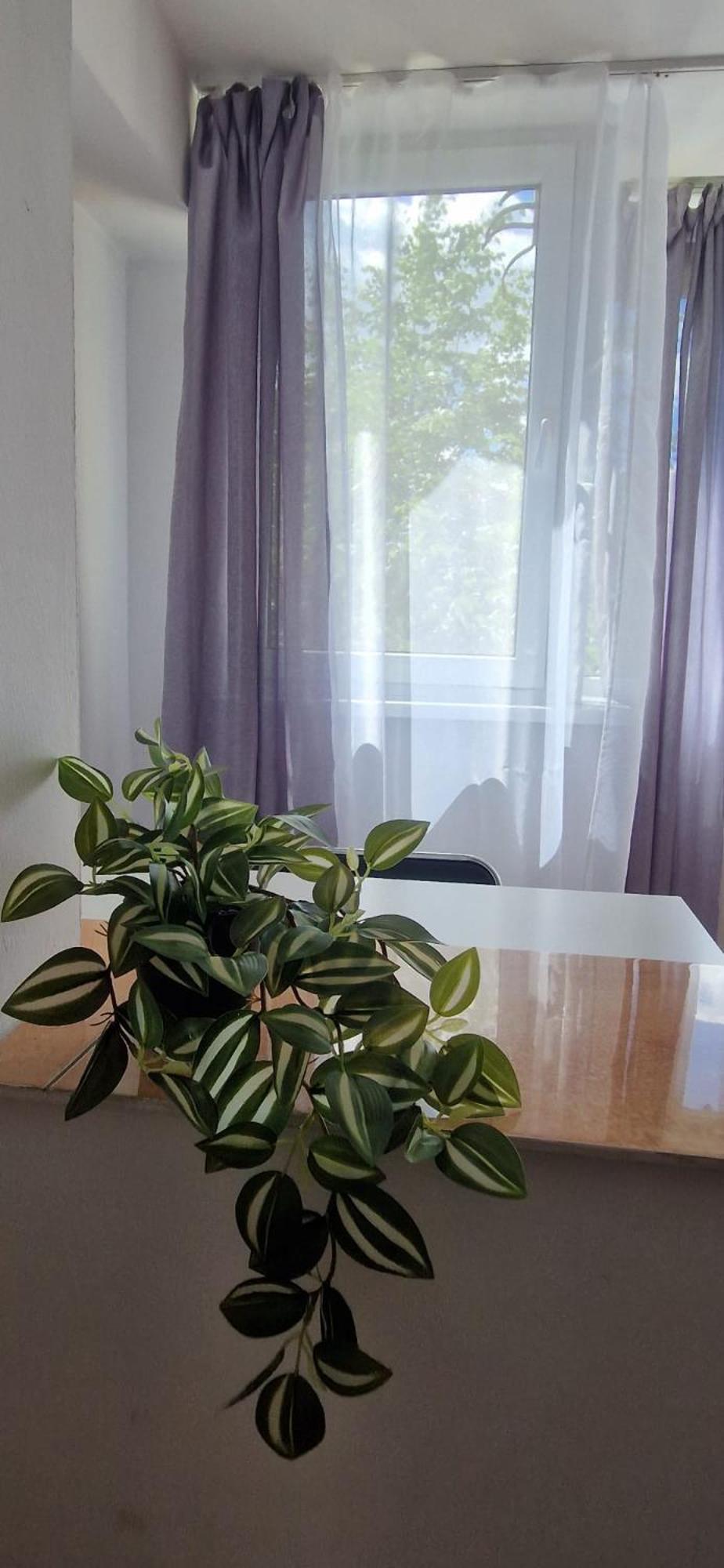 Stephanie Apartment-Centru Civic Brasov Exterior photo